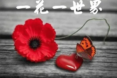 è—å¿ƒèªžéŒ„