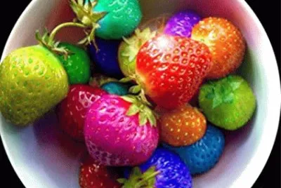 fresas