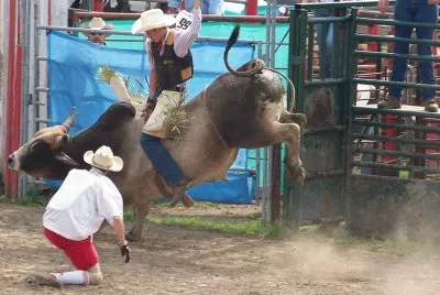 Taken at Pennsylvania Ohio Youth Rodeo Association (POYRA)