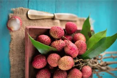 frutas
