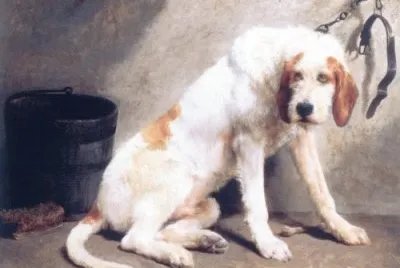 Griffone di vandea