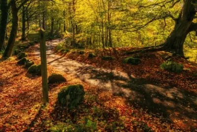 Imagem jigsaw puzzle