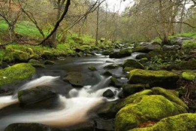 Imagem jigsaw puzzle