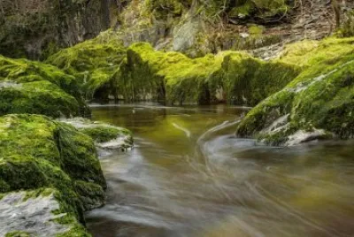 Imagem jigsaw puzzle