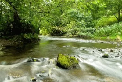 Imagem jigsaw puzzle