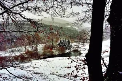 MONTAGNE NOIRE jigsaw puzzle