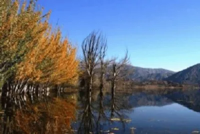 Imagem jigsaw puzzle