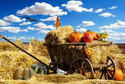 Imagem jigsaw puzzle