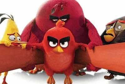 andry bird