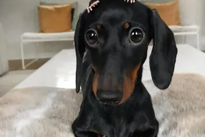â™¥