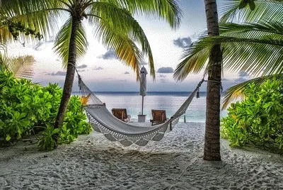 Hamac en bord de plage jigsaw puzzle