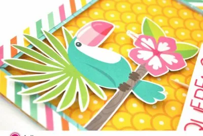 tucan jigsaw puzzle