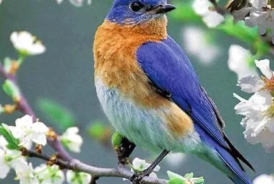 natural