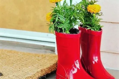 flores