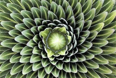natural