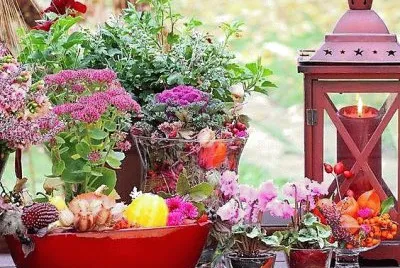 flores
