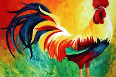 Amazing Rooster