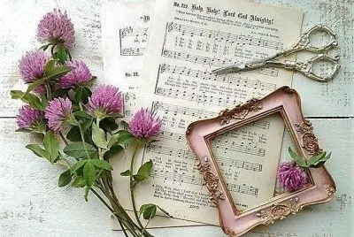 flores