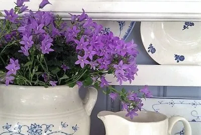 flores