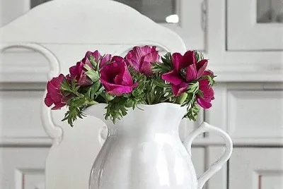 flores