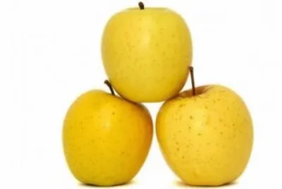 פאזל של Golden