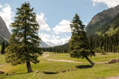 Imagem jigsaw puzzle