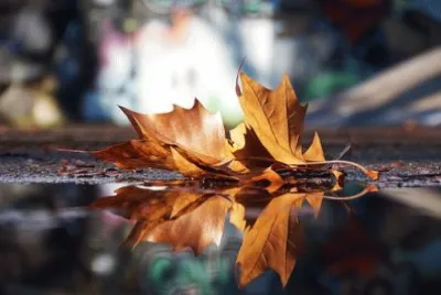Foto jigsaw puzzle