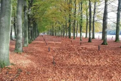 Nature jigsaw puzzle