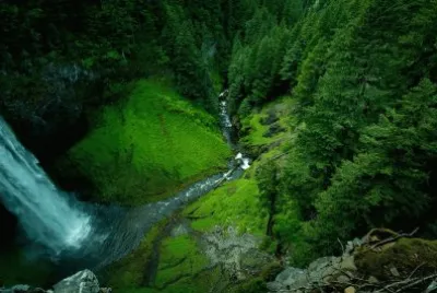 Nature jigsaw puzzle