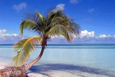 Imagem jigsaw puzzle