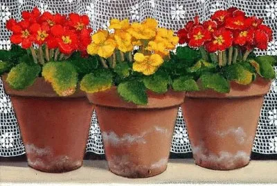 primule jigsaw puzzle