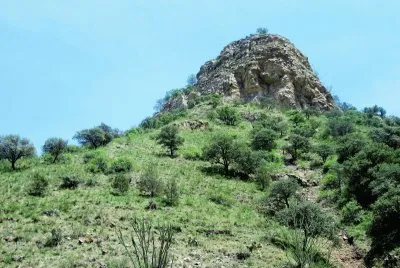 PeÃ±a en el campo chihuahuense. jigsaw puzzle