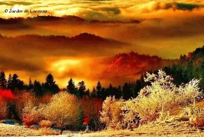 Imagem jigsaw puzzle