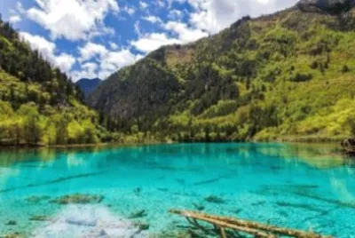 Imagem jigsaw puzzle