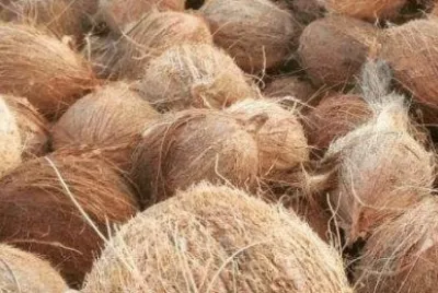 Imagem jigsaw puzzle