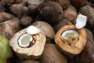 Imagem jigsaw puzzle