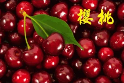 æ«»æ¡ƒ jigsaw puzzle