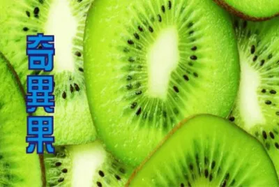 å¥‡ç•°æžœ jigsaw puzzle