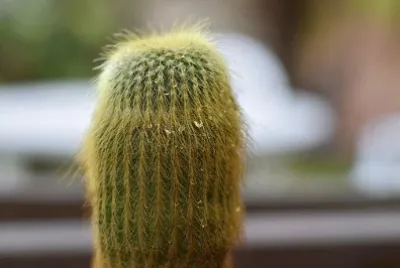 Imagem jigsaw puzzle