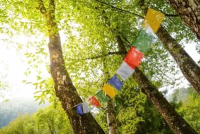 Imagem jigsaw puzzle