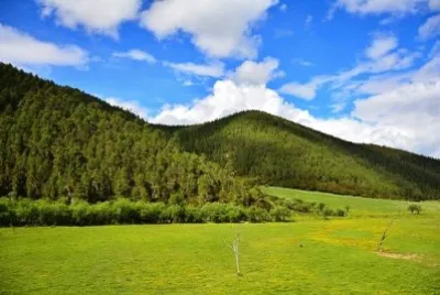 Imagem jigsaw puzzle