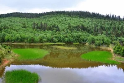 Imagem jigsaw puzzle