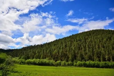 Imagem jigsaw puzzle