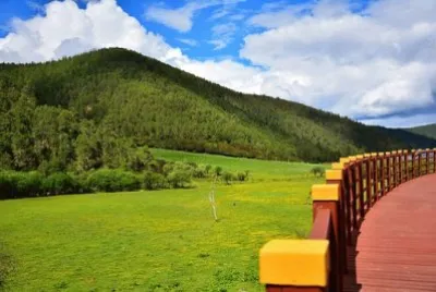 Imagem jigsaw puzzle