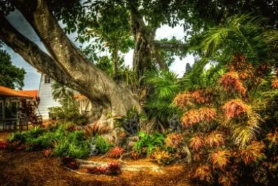 Imagem jigsaw puzzle