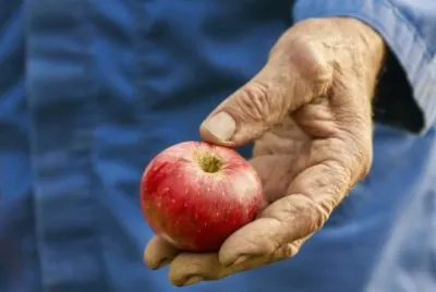 פאזל של Imagem