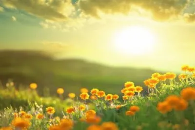 פאזל של flores