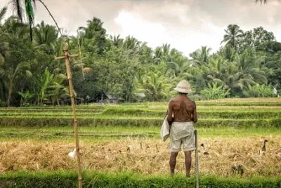 פאזל של Imagem