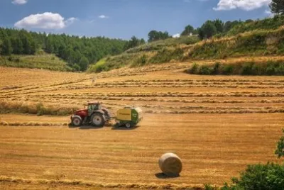 Imagem jigsaw puzzle