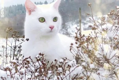 â™¥